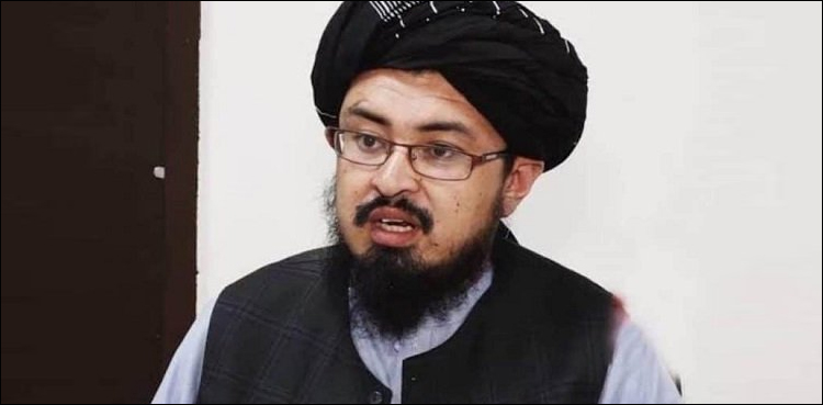افغان طالبان کا امریکا سے متعلق پالیسی کے حوالے سے اہم بیان