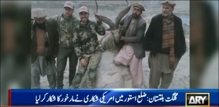 امریکی شکاری نے ایک لاکھ 20 ہزار ڈالر کے عوض مارخور شکار کر لیا