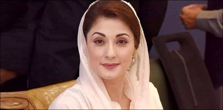 ’’آپ ایک بوجھ ہو جو اب کوئی نہیں اٹھاسکتا‘‘