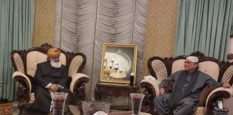 مولانا فضل الرحمان کا  پیپلزپارٹی کو 27 فروری کا لانگ مارچ ملتوی کرنے کا مشورہ