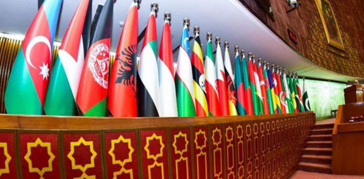 پاکستان 22 مارچ کو اسلامی تعاون تنظیم اجلاس کی میزبانی کرے گا