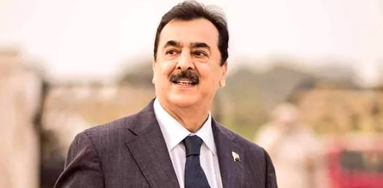 پیکا قوانین: پیپلز پارٹی کا حکومت کے خلاف اعلان جنگ