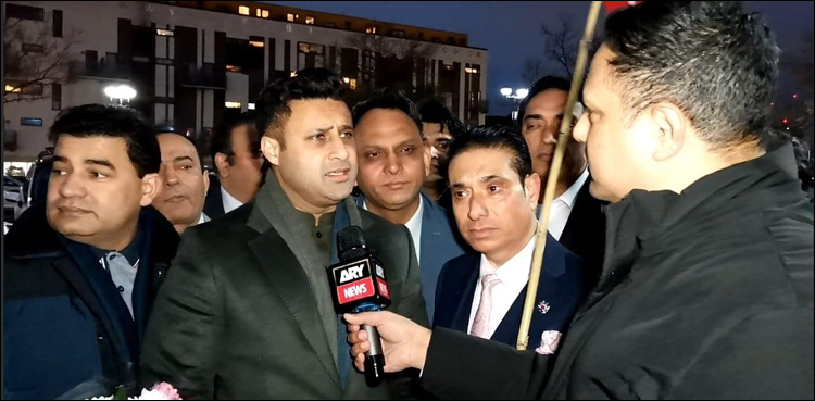 ایوارڈ کے لیے گریڈنگ کرنے والوں پر زلفی بخاری نے بھی سوال اٹھا لیا