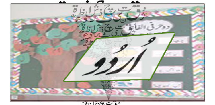 ہم اردو کے لیے کیا کام کریں؟