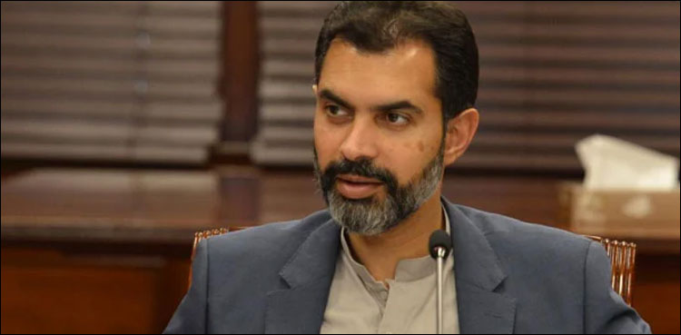 عام آدمی ماہانہ کرایے جتنی بینک قسط دے کر گھر کا مالک بن سکتا ہے: گورنر اسٹیٹ بینک