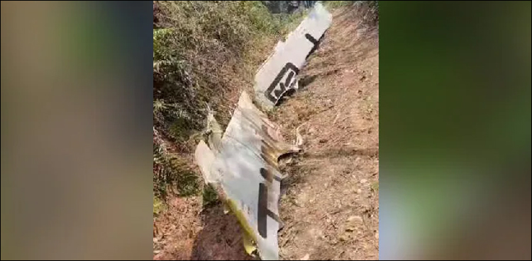 وزیر اعظم کا چین میں مسافر طیارے کے حادثے پر اظہار افسوس