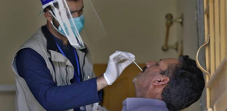 پاکستان میں کورونا کی شرح ایک فیصد پر برقرار ، مزید 493 کیسز رپورٹ