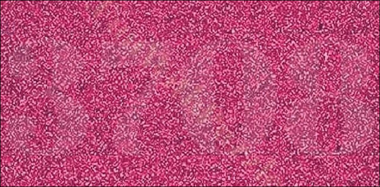 کیا آپ اس تصویر میں چھُپے اعداد درستگی سے بتا سکتے ہیں؟