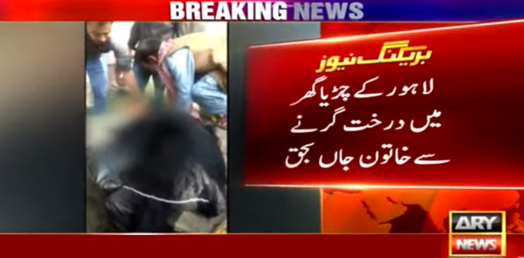 لاہور کے چڑیا گھر میں درخت گرنے سے خاتون جاں بحق