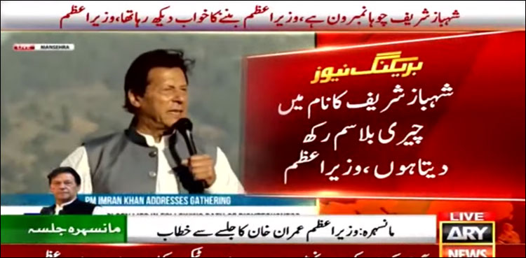 شہباز شریف چوہا نمبر ون ہے، وزیر اعظم بننے کا خواب دیکھ رہا تھا: وزیر اعظم
