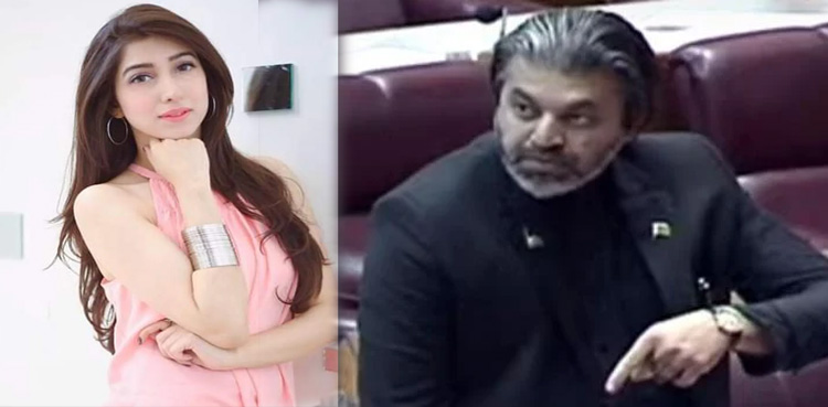 علی محمد خان کی ایوان میں تقریر : اداکارہ مریم نفیس بھی معترف نکلیں