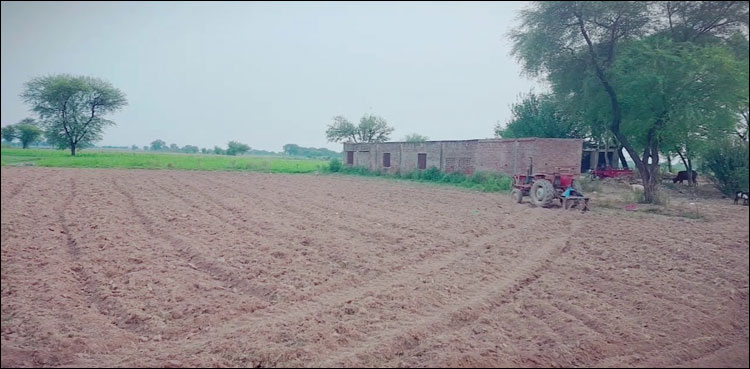 تحریک انصاف کی حکومت ختم ہوتے ہی قبضہ مافیا پھر سرگرم