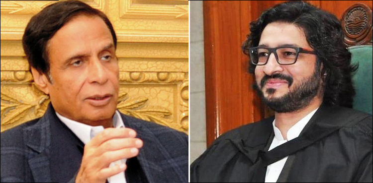 پرویز الہٰی، دوست مزاری کے خلاف تحریک عدم اعتماد پر عمل درآمد نہ ہو سکا