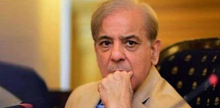 وزیراعظم شہباز شریف کو مشکلات کا سامنا : اتحادیوں نے مطالبات کی لمبی فہرست تھما دی