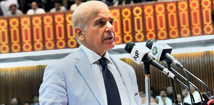 ملک میں لوڈشیڈنگ کا ذمے دار کون؟ وزیراعظم نے بتادیا