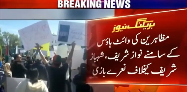 "امپورٹڈ حکومت” کیخلاف وائٹ ہاؤس کے سامنے مظاہرہ، اپوزیشن رہنماؤں کی تصاویر پر جوتوں کی بارش