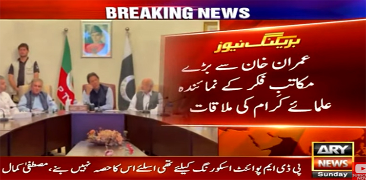 حقیقی آزادی تحریک: علمائے کرام بھی عمران خان کے شانہ بشانہ چلنے کو تیار