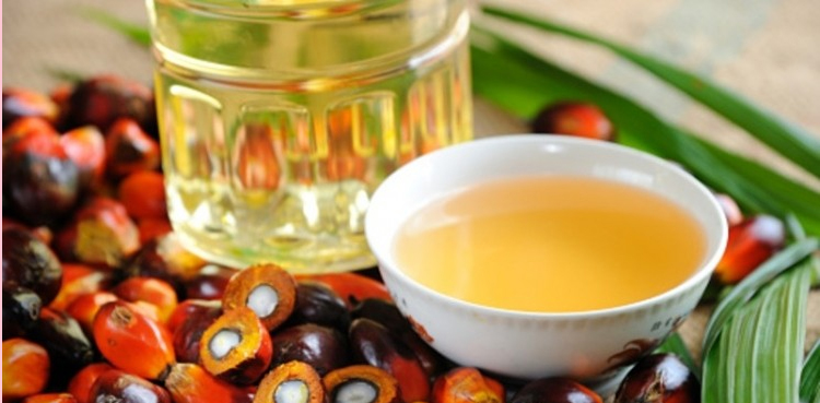 پام آئل کی پیداوار کبھی کم نہیں کریں گے، دو ممالک ڈٹ گئے