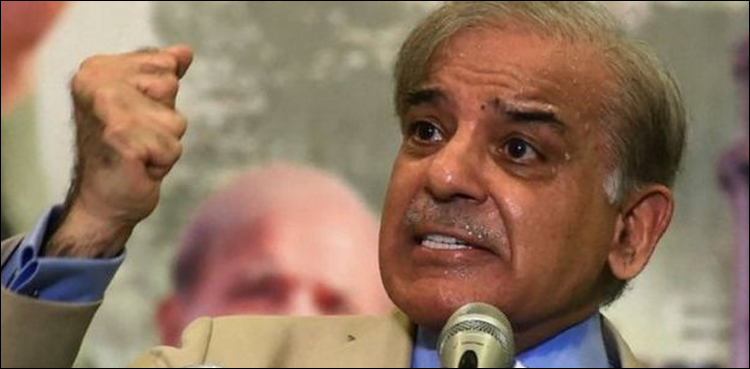 ‘ملک کی فکر نہ ہو تو میں چاہوں گا ان کی حکومت مزید چند ماہ اور چلے’