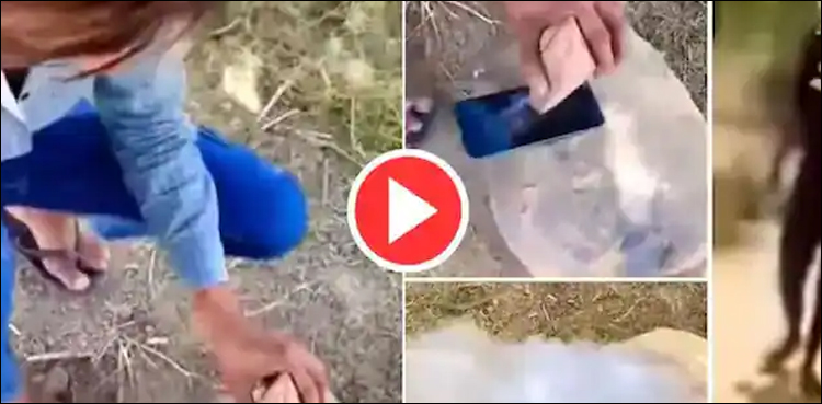سیل فون پتھر سے توڑنے کی کوشش کا ڈرا دینے والا انجام (ویڈیو)