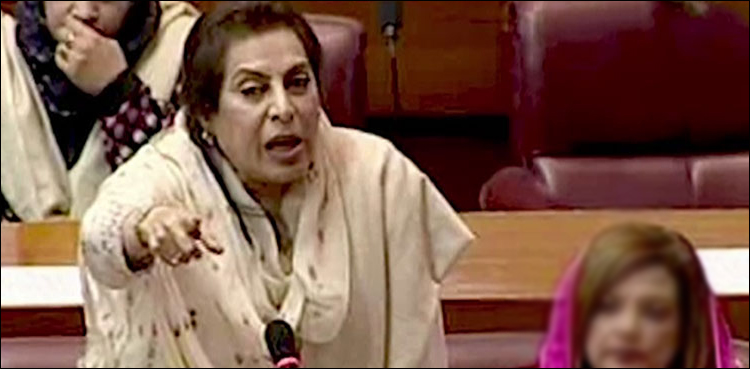 جی ڈی اے رکن اسمبلی ایک بار پھر حکومت پر برس پڑیں