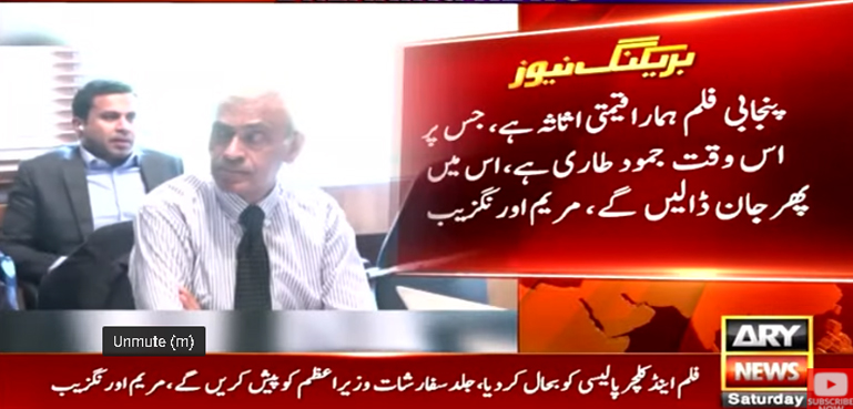 پنجابی فلم ہماراقیمتی اثاثہ ہے، مریم اورنگزیب