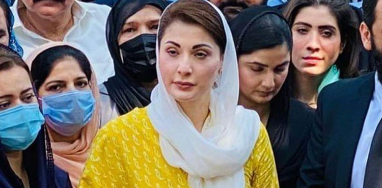 ‘ کس چیز کی تنخواہیں لے رہے ہیں؟ ملک برباد کرنےکی یاآئین توڑنےکی؟ ‘