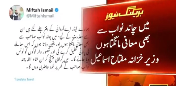 وزیر خزانہ مفتاح اسماعیل نے اے آر وائی نیوز سے معافی مانگ لی