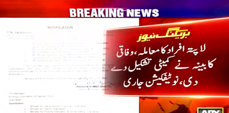 لاپتہ افراد کا معاملہ ، وفاقی کابینہ نے کمیٹی تشکیل دے دی