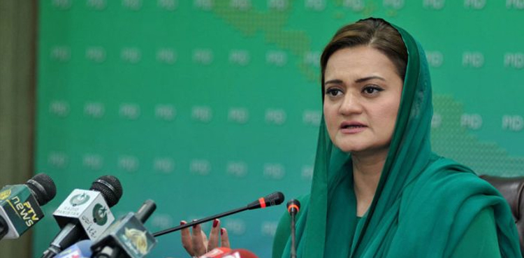 ‘الیکشن کمیشن  کے فیصلے سے حمزہ شہباز اور پنجاب کی حکومت پر کوئی فرق نہیں پڑے گا’