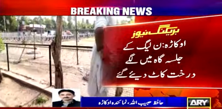 ن لیگ کا  اوکاڑہ میں پاور شو،  جلسہ گاہ میں لگے متعدد درختوں کو کاٹ دیا گیا