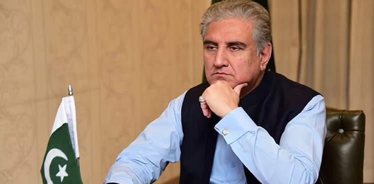 حکومت اسمبلیوں سے اپنی مرضی کے نتائج حاصل کرنا چاہتی ہے، شاہ محمود