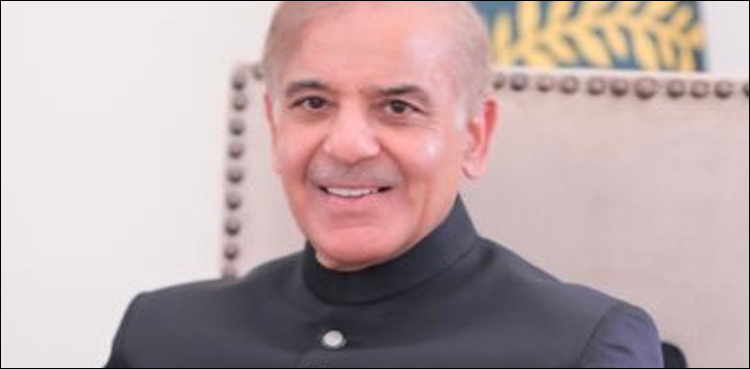 زرمبادلہ بچانے کے لیے امپورٹڈ اشیا کی درآمد پر پابندی لگائی ہے، وزیراعظم