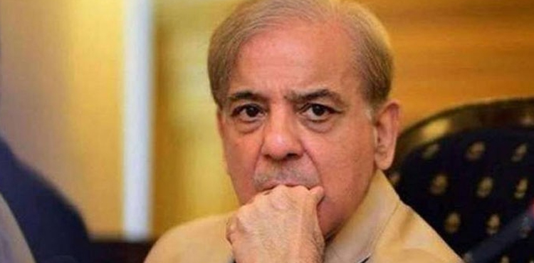 "امریکا بھی امپورٹڈ حکومت  کو ڈالر نہیں دے رہا کیونکہ وہ جانتا ہے کہ یہ چور ہیں”