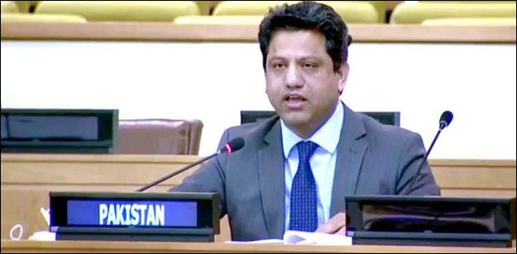 سلامتی کونسل کشمیر میں بین الاقوامی جرائم کے ثبوتوں کا نوٹس لے: پاکستانی مندوب