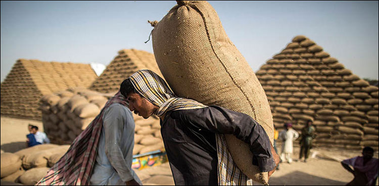 پنجاب میں مزدور کی نئی اجرت مقرر