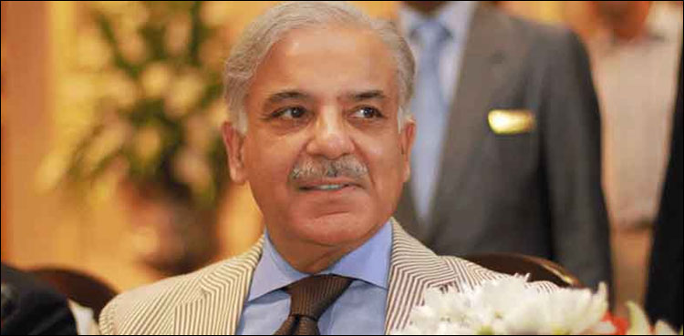 ‘پٹرول بم اور بجلی کی لوڈشیڈنگ:  شہبازشریف کے  50 روزہ حکومت میں 5 غیر ملکی دورے’
