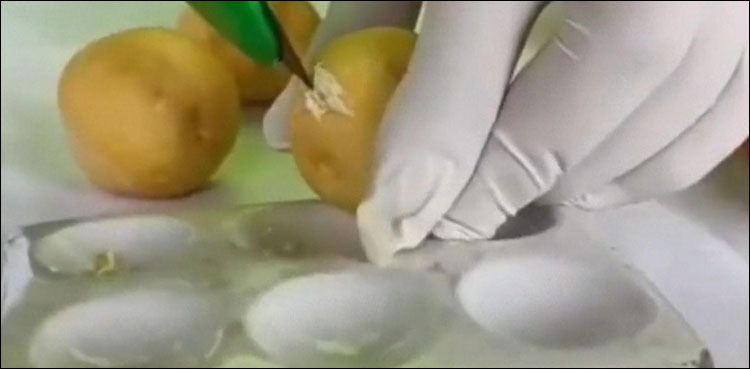 آلوؤں میں کوکین بھر کر لے جانے والے اسمگلرز گرفتار
