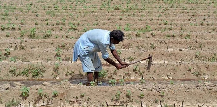 سیلاب سے متاثرہ کسانوں کے لئے سندھ حکومت کا ایک اور اہم فیصلہ