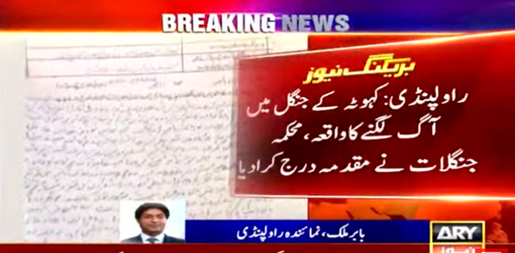 کہوٹہ کے جنگل میں آگ لگنے کے واقعے کا مقدمہ درج