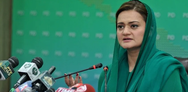 عمران خان کا 10روپے پٹرول پر کم کرنا مجرمانہ فیصلہ تھا،  مریم اورنگزیب