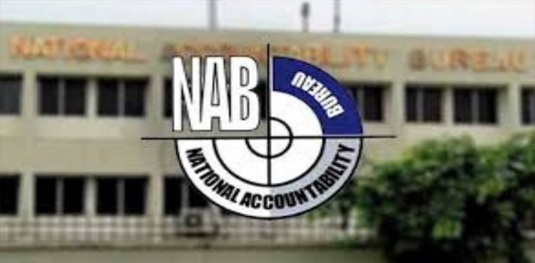 کرپشن کے کون سے مقدمات نیب کے پاس رہیں گے؟