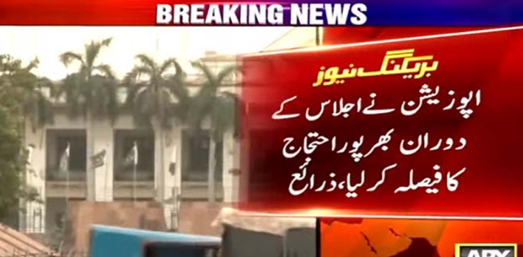 پنجاب کا بجٹ اجلاس: تحریک انصاف اور  ق لیگ کا حمزہ شہباز حکومت کو ٹف ٹائم دینے کا فیصلہ