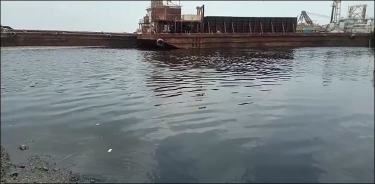 ریڑھی گوٹھ سمندر کی صورت حال تشویش ناک ہو گئی، ویڈیو منظر عام پر