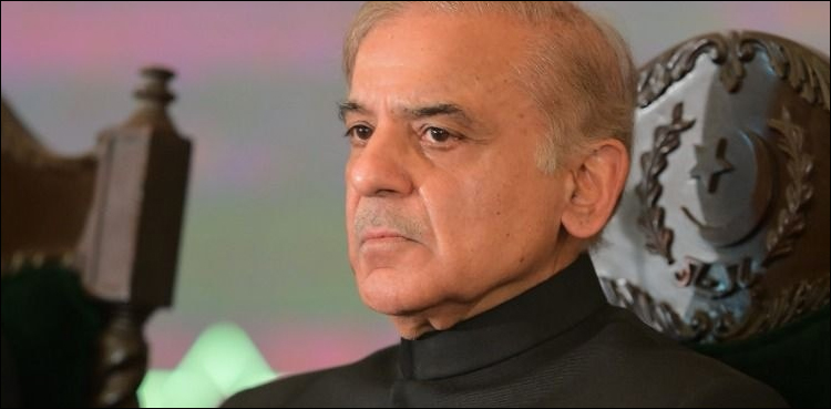 عدالتی فیصلے سے حصول انصاف کی توقعات کو دھچکا لگا: وزیر اعظم