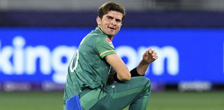شاہین شاہ آفریدی نے آتے ہی دھوم مچا دی، وکٹیں لینے کی ویڈیوز