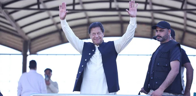 "کپتان کو دو تہائی اکثریت کے ساتھ واپس لائیں گے”