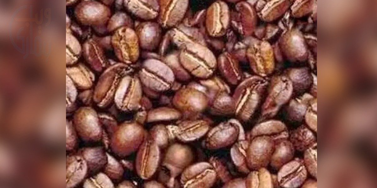 ذہین لوگ حاضر ہوں!! تصویر میں چھپا چہرہ ڈھونڈ کر دکھائیں