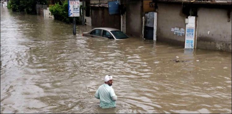 وزیر صحت کی ملک بھر میں سیلاب متاثرین کی ہر ممکن مدد کی ہدایت