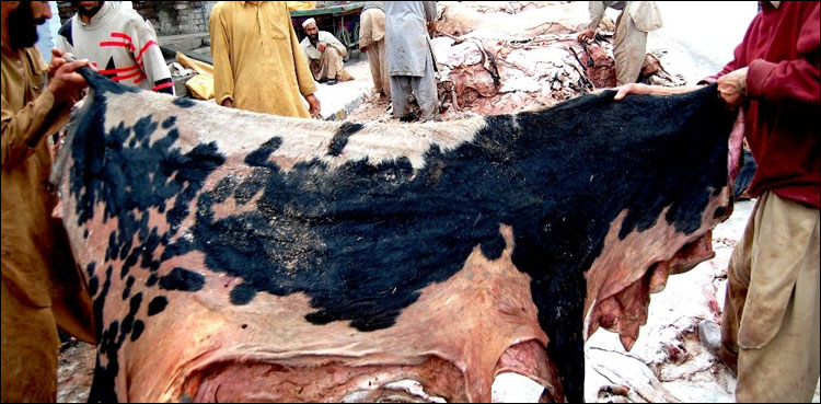 عید الاضحیٰ: کھالیں جمع کرنے کے لیے کمشنر کی اجازت ضروری